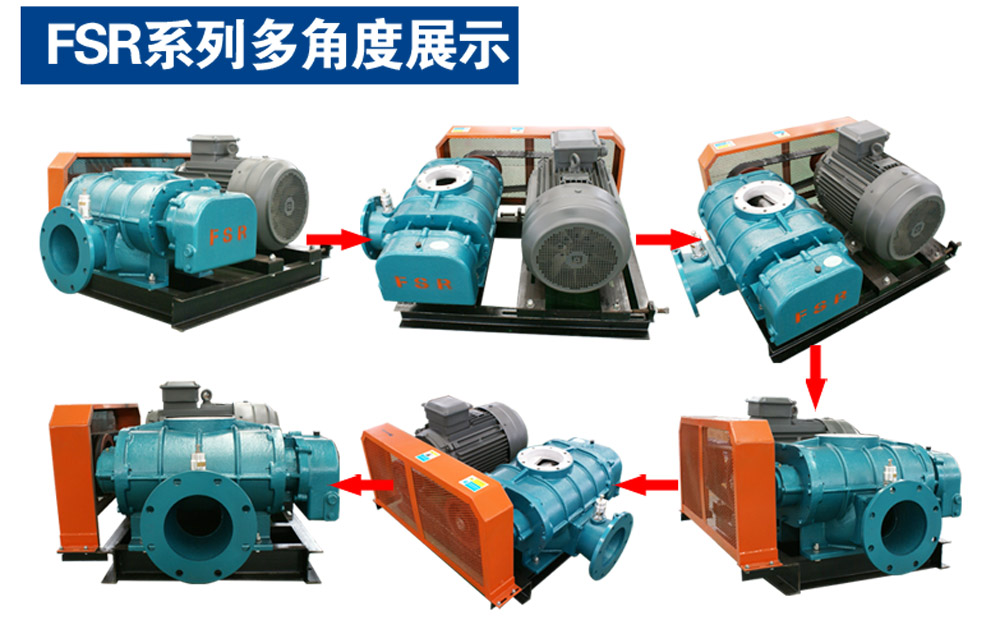 羅茨鼓風(fēng)機(jī) 羅茨鼓風(fēng)機(jī)