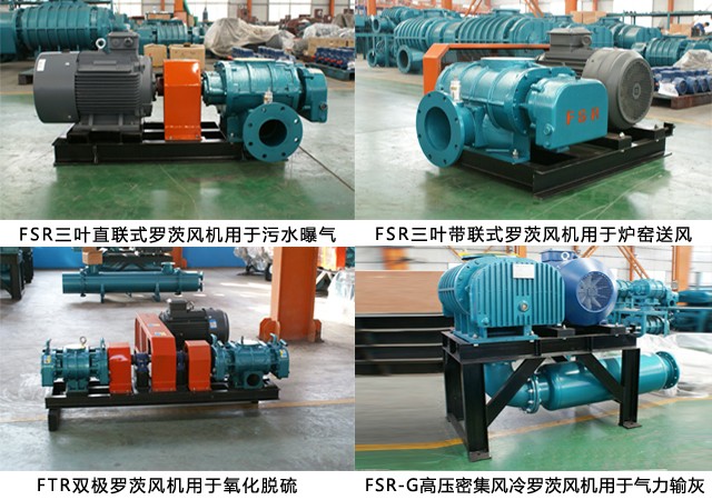 羅茨鼓風(fēng)機(jī) 羅茨鼓風(fēng)機(jī)