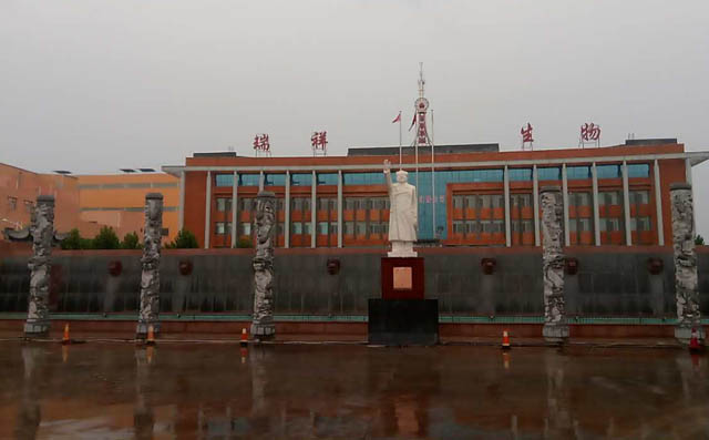 章丘豐源污水曝氣羅茨風(fēng)機用于瑞祥生物廠