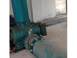 章丘豐源FSR250G羅茨風(fēng)機在惠州市廣豐農(nóng)牧運行成功！