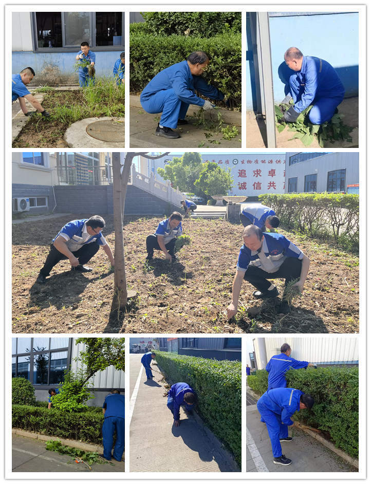 在公司領(lǐng)導(dǎo)的帶領(lǐng)下，各部門積極投入廠區(qū)內(nèi)外公共區(qū)域的清潔工作中，大家熱情高漲，分工合作