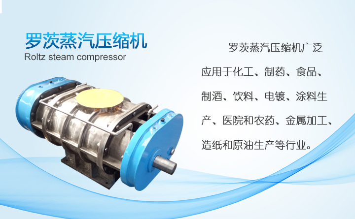 羅茨式蒸汽風(fēng)機